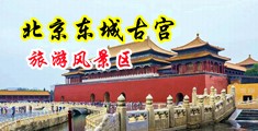 一个人看www97日韩欧美麻豆中国北京-东城古宫旅游风景区